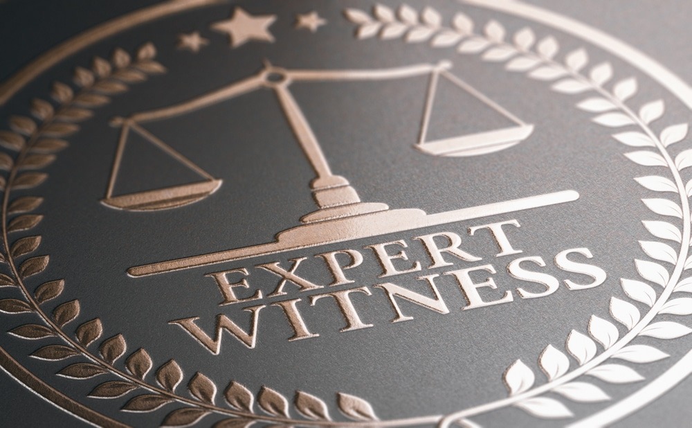 Expert witness preparation for trial